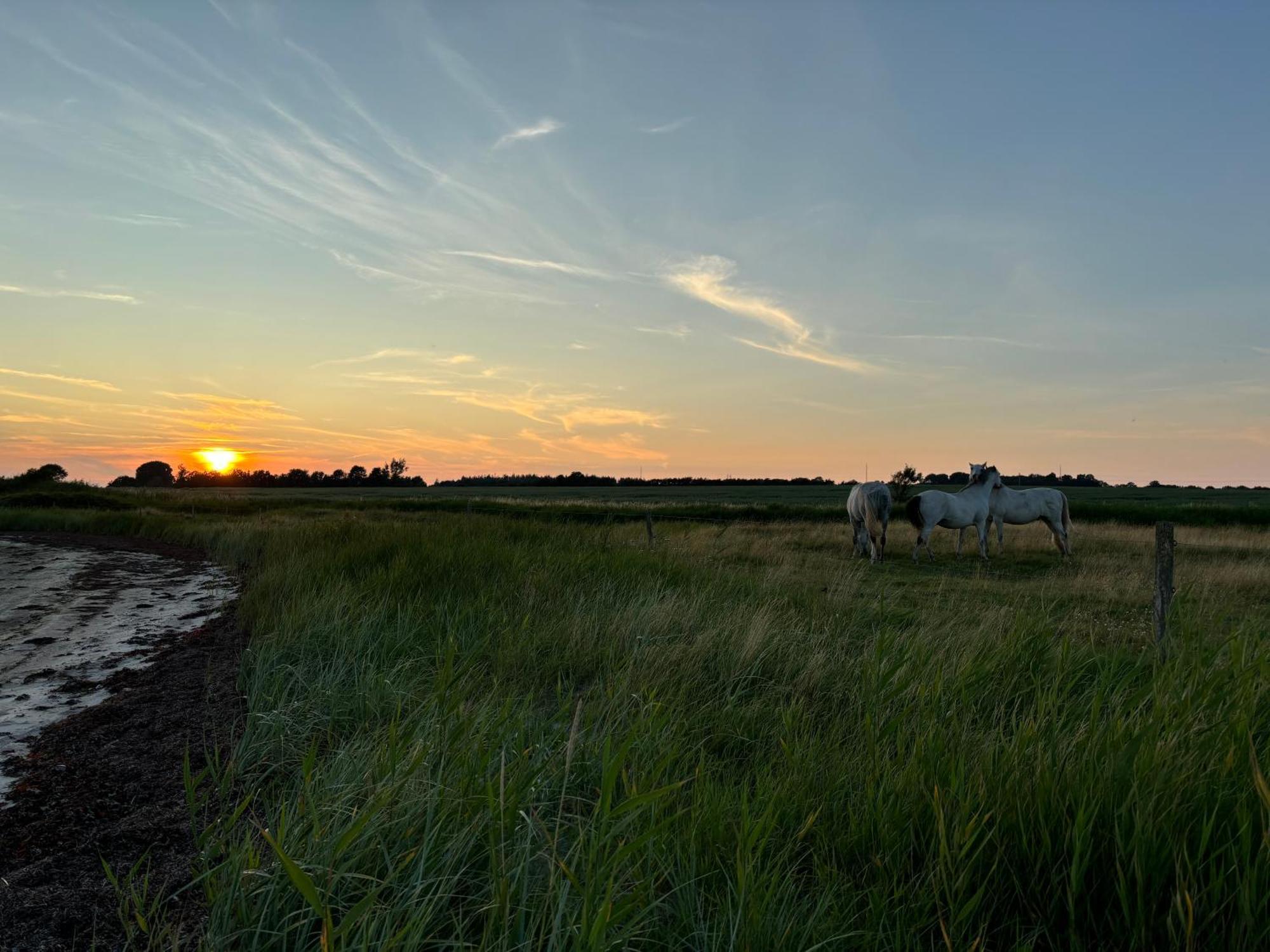 Nedlagt Gard I Naturen Med Ro Og Fred Og Samtidig Taet Pa Og Fiskeri Og Indkobsmuligheder Nordborg